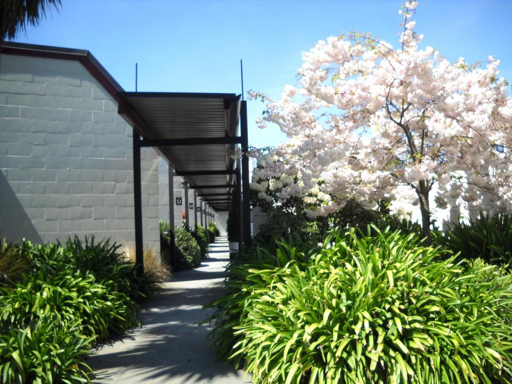 Gothic Heights Motel Christchurch Exterior foto